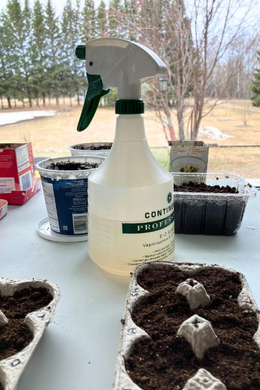 A spray bottle on a table surrounding by seed starting containers filled with potting soil
