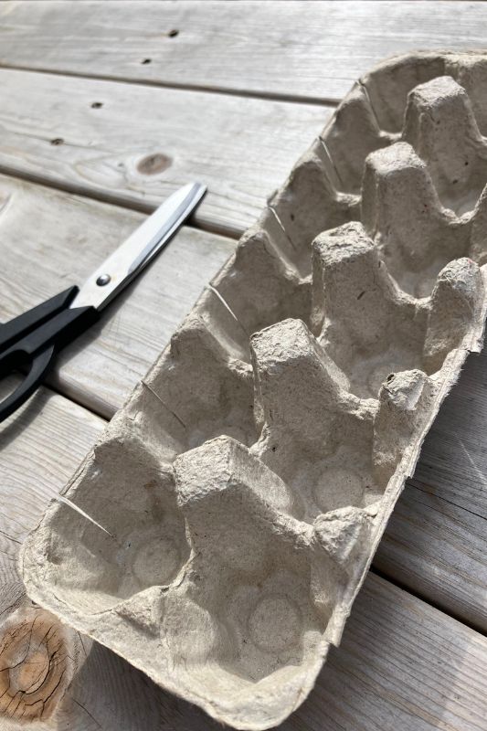 Egg carton with slits down the side of each cup and a pair of scissors
