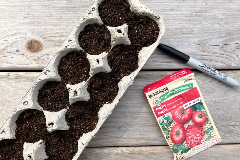 egg carton filled with potting soil, a packet of tomato seeds, and a sharpie marker against a wooden background