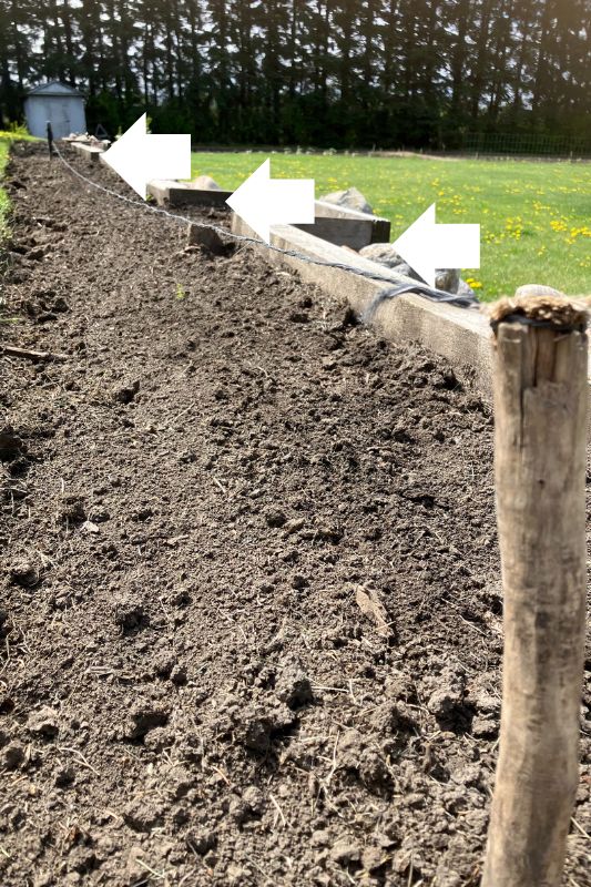 A string hung between two garden stakes and three white arrows pointing at the string
