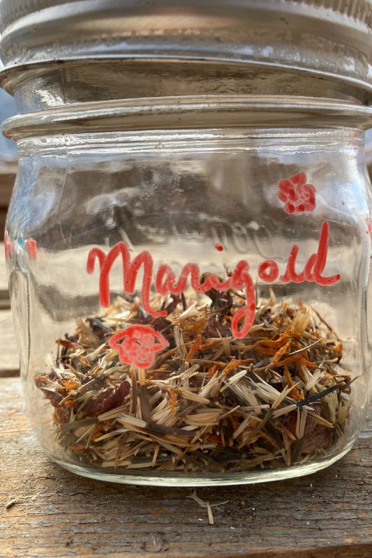 Marigold seeds in a glass jar with a hand written label